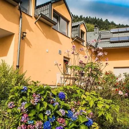 Ferienwohnung Roos Klusserath Zewnętrze zdjęcie